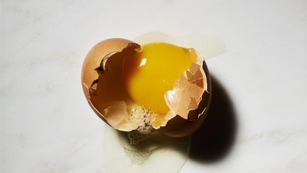 ägg